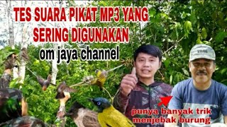 Download lagu PIKAT MP3 ANDALAN JAYA CHANNEL SANGAT AMPUH‼BUKTIKAN‼ #mikatburung #caramikatburung mp3 Download lagu PIKAT MP3 ANDALAN JAYA CHANNEL SANGAT AMPUH‼BUKTIKAN‼ #mikatburung #caramikatburung mp3