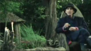 George Harrison   Brainwashed