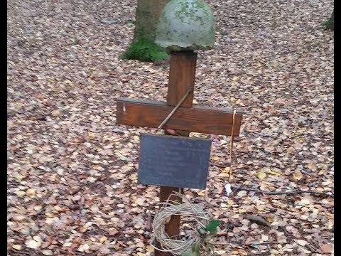 Ich hatt einen Kameraden Hürtgenwald