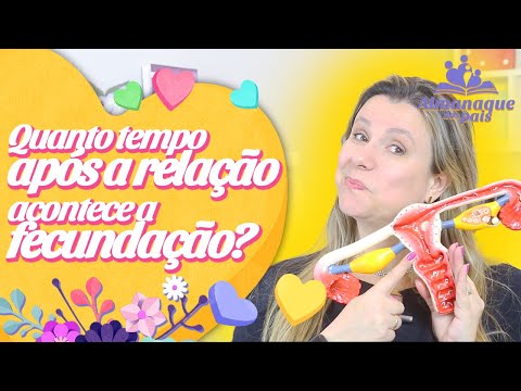 Quanto depois depois da relação ocorre a FECUNDAÇÃO do óvulo?| Gravidez programada e segura