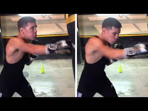 OSCAR VALDEZ QUIZÁS CONTRA VASILY LOMACHENKO, EL CAMPEÓN EMPIEZA A ENTRENAR