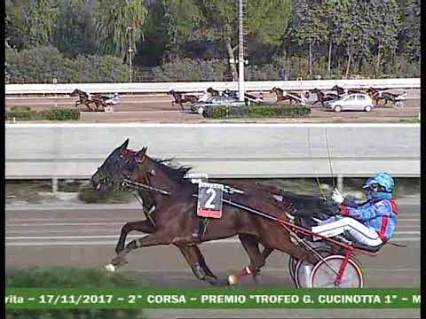 II   CORSA Premio GAIA CUCINOTTA I^ BATTERIA