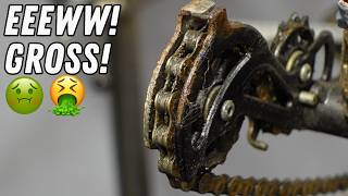 This Garden Shed Bike rotted for years, but tuned right up! Better than brand new!