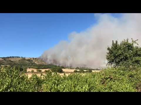 Incendio Bosco di Acquatetta 09/07/20