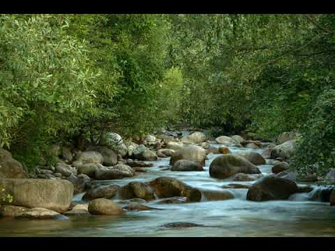 Sânpetru Valea Dinozaurilor