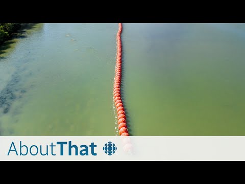 The saw-blade buoys keeping migrants out of Texas, explained | About That