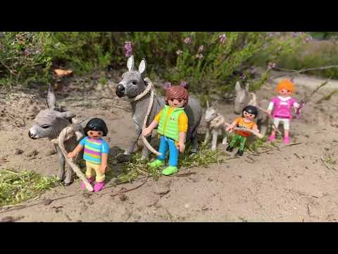 IGW 2022 online - Samtgemeinde Lüchow