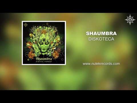 Shaumbra - Discoteka
