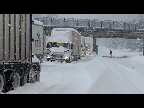 More than 20 centimeters of snow: parts of the US East Coast paralyzed