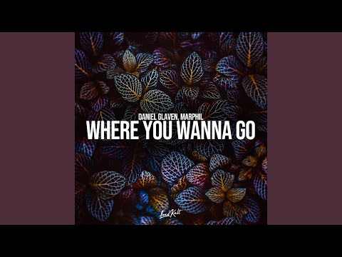 Where You Wanna Go