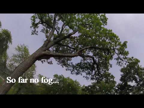 Mistborn in the clouds - flying through and above the fog at the Fort