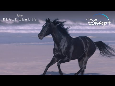 美しさの瞬間｜ブラックビューティー｜ディズニー＋｜ディズニー (A Moment of Beauty | Black Beauty | Disney+)