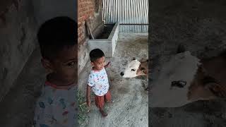 Download lagu TheeParakka🔥🔥 Thottu paru Thimilai Neyum Thottu paru 🥳Jallikattu Love ..songs💥 💯 mp3 Download lagu TheeParakka🔥🔥 Thottu paru Thimilai Neyum Thottu paru 🥳Jallikattu Love ..songs💥 💯 mp3