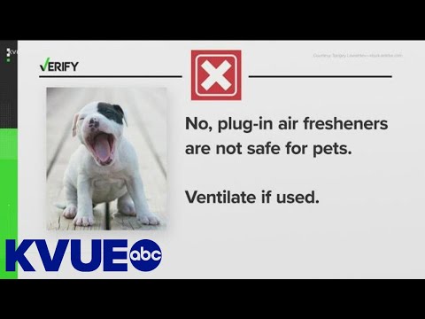 YouTube video about: Are air wick plug ins safe for cats?