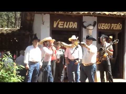 Pedro Henrique Berranteiro - Meu toque de Rebatedouro, Barretos 2013