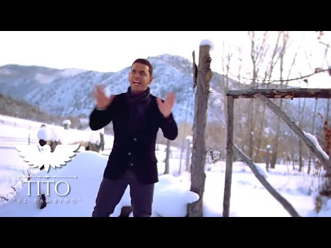 Tito "El Bambino" El Patrón - Llueve el amor (Official video)