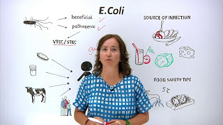 Download lagu What is E.Coli? What can you do to protect yourself and others? mp3