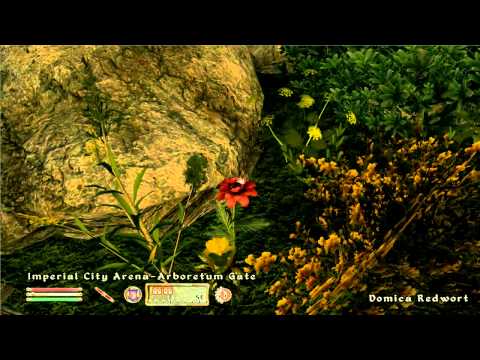 Let's Play Oblivion - Part 36: Preparations