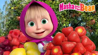 😋🍓Why Should We Eat Fruits? 🍍🐺 Best episodes cartoon collection 🎬 Masha and the Bear 2026