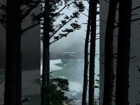 "Waiting for Moody Days 🌧️ | A Moment of Reflection" #moodierdays #viralshorts #shorts #ytshorts