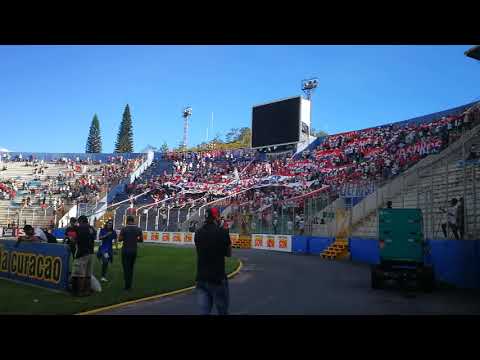 "Soy Del Albo, Soy" Barra: La Ultra Fiel &bull; Club: Club Deportivo Olimpia