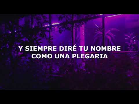Tiësto, Jonas Blue & Rita Ora - Ritual (Subtitulada Español)