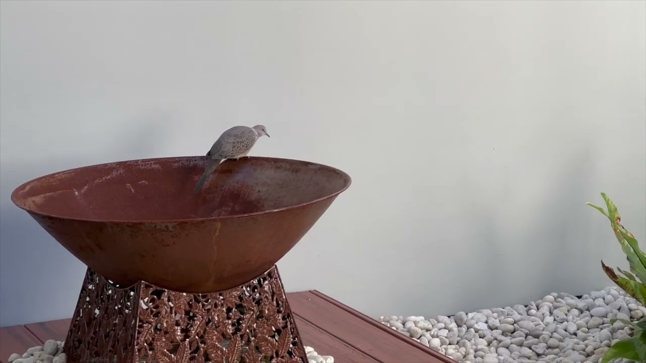 17 Marlo Road, Towradgi NSW