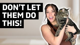 How to deal with RUDE COMMENTS as an influencer
