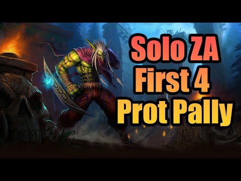 Solo ZA Bird/Bear/Dragonhawk/Lynx Prot Paladin - WotLK Classic
