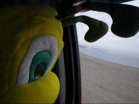 La Abejita Genoveva se va de viaje sola 2019