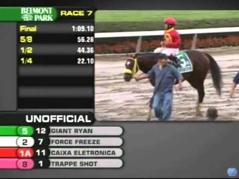 2011 Vosburgh Invitational Stakes