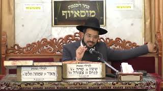 הרב ישראל לורי • הלכות חנוכה (בית הכנסת מוסאיוף - ערוץ חדש) - התמונה מוצגת ישירות מתוך אתר האינטרנט יוטיוב. זכויות היוצרים בתמונה שייכות ליוצרה. קישור קרדיט למקור התוכן נמצא בתוך דף הסרטון