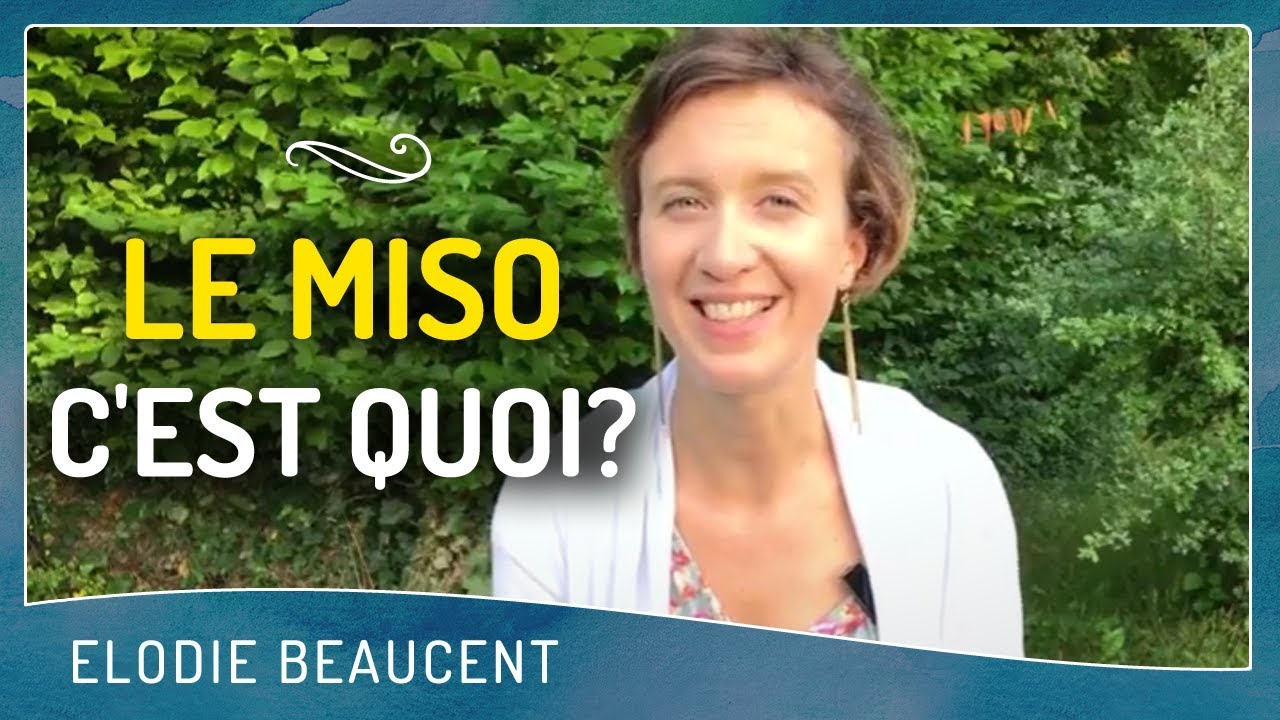 Le miso, c'est quoi 