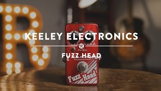 Keeley Electronics Fuzz Head | Reverb Demo Video