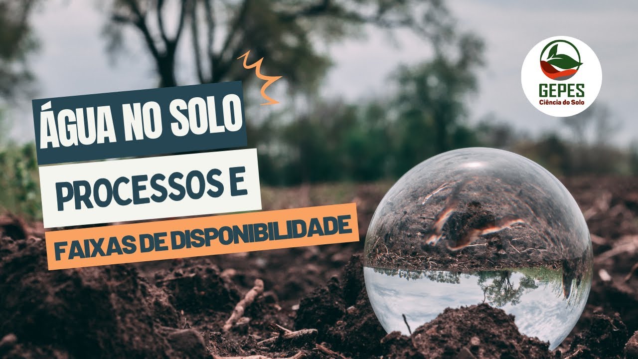 Água no solo: importância, processos de movimentação e faixas de disponibilidade