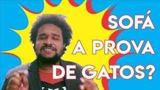 Como escolher um sofá para quem tem gatos (6 dicas)