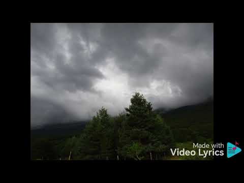 IF IT TAKES A LIFETIME JOEY PALOMAR 