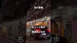 #誰かの日常　#豊橋　#散歩　雰囲気が好きでした　#豊橋ビル商店街