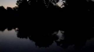 drinking the night away