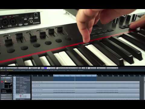 Nektar Impact LX and Cubase Integration