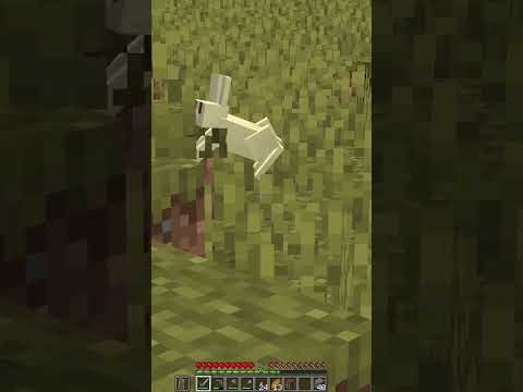 JouClips - A WILD bunny in the Minecraft Wilderness...