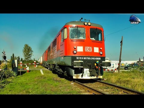 TRANSMONTANA 91 53 0 480 005-4 & DA 60-1705-2 cu Mecanic Grozav/with Great Engineer in Oradea!!!