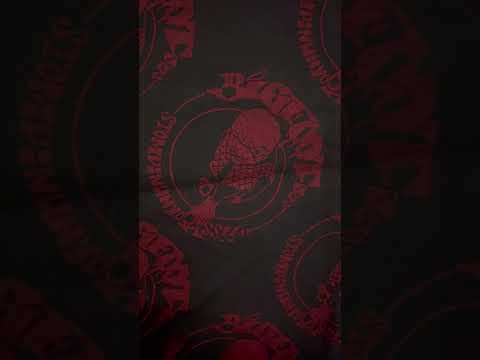 LI YALE "AFRAID 2 LUV " WRITING SONG