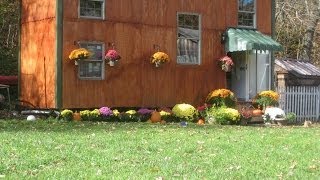 Tiny house for under $5000