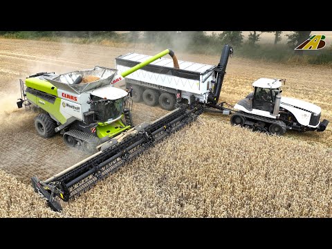 Grain harvest 2023 Triticale threshing Combine harvester CLAAS Tractor Crawler Contractor Agricul...
