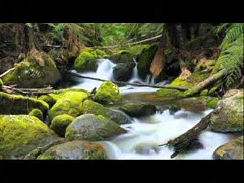 DUGA BEND 016 - Kako da ti pomognem