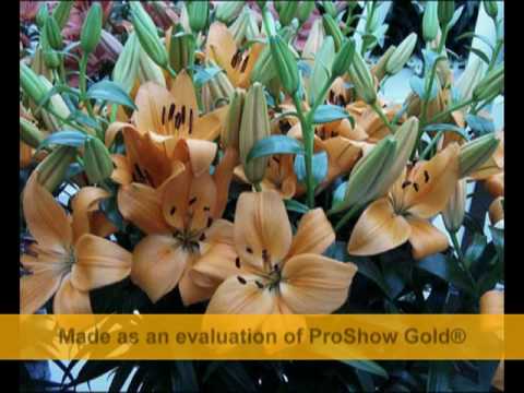 Un suflet bun sa ai!