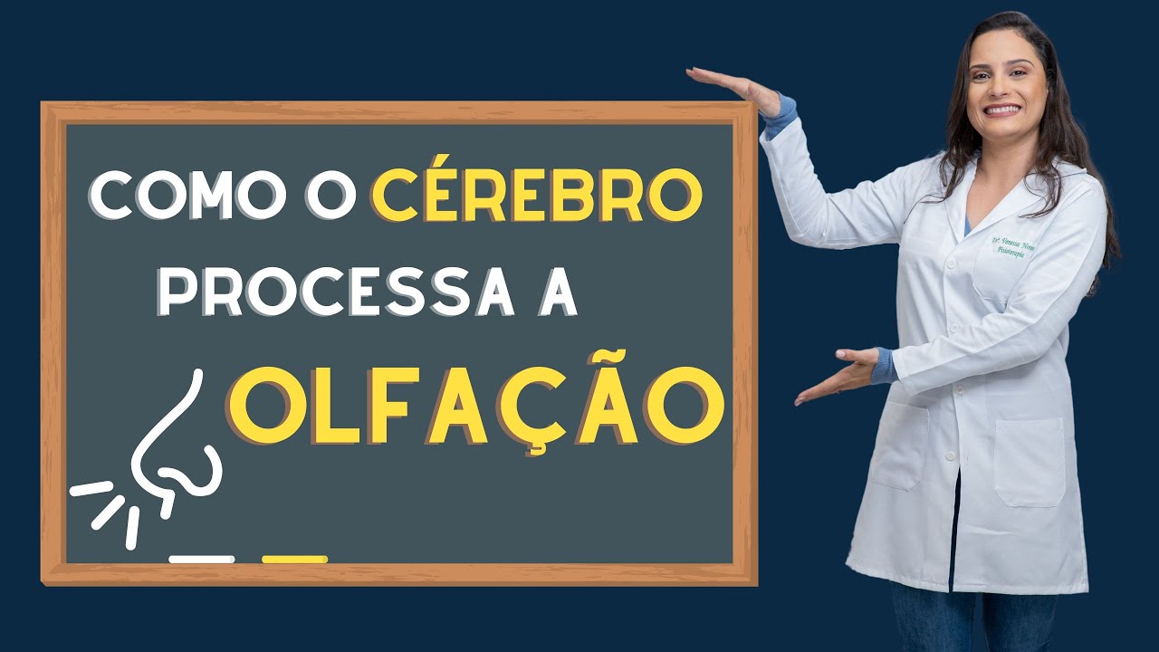 Como o cérebro processa o olfato?
