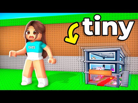 Every Time My Sister Looks Away, I Shrink Her BASE!