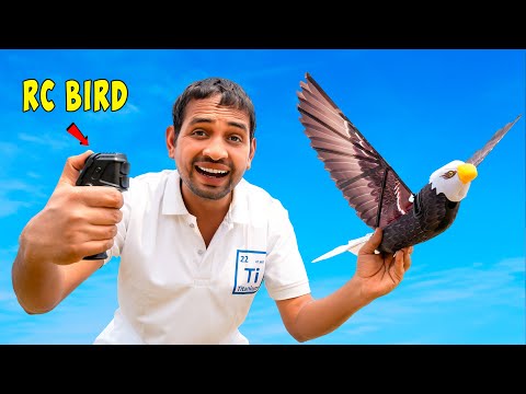 Unboxing Professional Rc Bird..उड़ने वाला पक्षी🦅..Worth - ₹50,000🤑